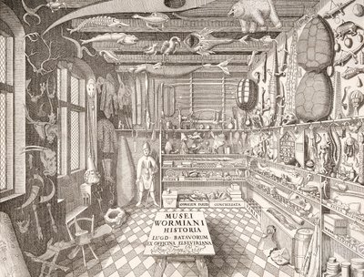 Museum of Ole Worm, Leiden, 1655 by G. Wingendorp